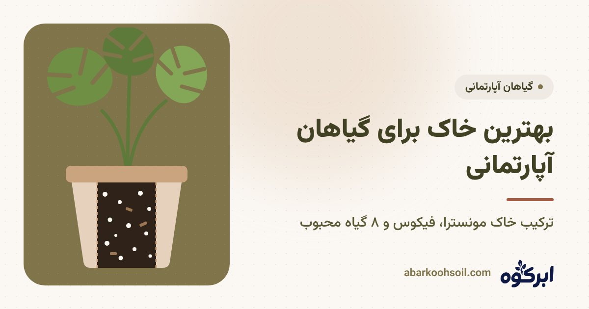 گیاه مونسترا در گلدان با خاک ترکیبی بلک پیت و پرلیت