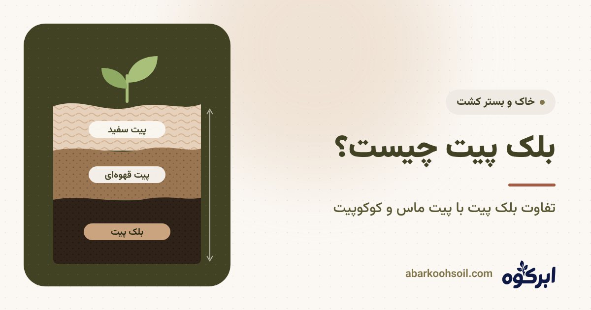 مقایسه لایه‌های پیت سفید، پیت قهوه‌ای و بلک پیت در تورب‌زار